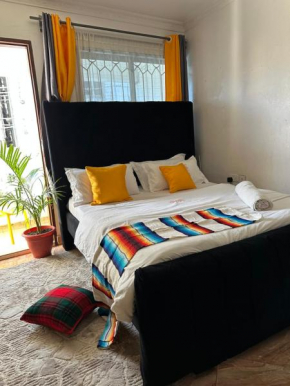Softlife Home, Classic Studio